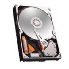 Maxtor 6Y160M004725A Hard Drive