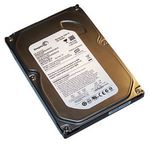 Seagate ST3160215AS Hard Drive