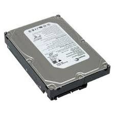 Seagate ST3160811AS Hard Drive
