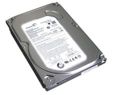 Seagate ST3160813AS Hard Drive
