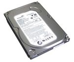Seagate ST3160813AS Hard Drive
