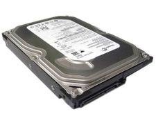 Seagate ST3250310AS Hard Drive