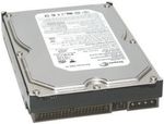 Seagate ST3250620A Hard Drive