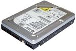 Western Digital WD136AA Hard Drive