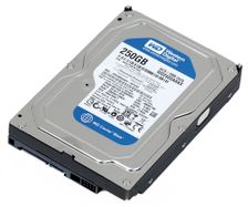 Western Digital WD2500AAKK Hard Drive