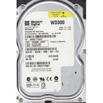 Western Digital WD300BB-75DEA0 Hard Drive