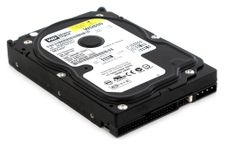 Western Digital WD800 Hard Drive