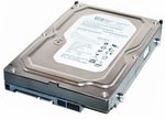 Western Digital WD800AAJS-00L7A0 Hard Drive