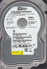 Western Digital WD800JD-60LSA5 Hard Drive