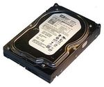 Western Digital WD800JD-75MSA3 Hard Drive
