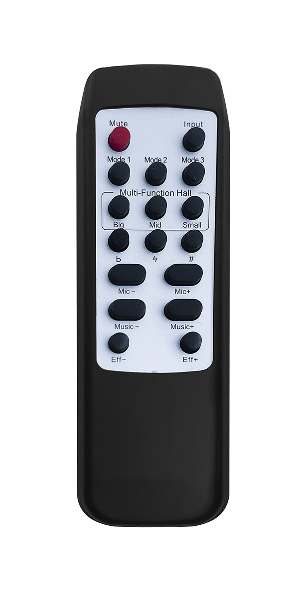 Singtronic DSP3000 Digital Echo Key Control Mixer Processor