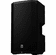 Electro-Voice EVERSE 12 Weatherized Battery-Powered Loudspeaker With Bluetooth Karaoke