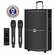 Singtronic BT-1500DSP Professional 15" Karaoke Speaker + KTV-ProK Hard Drive Player Select Songs by Apk.