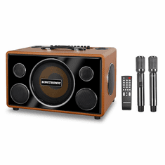 Singtronic BT-800DSP Professional 800W All-in-One Bluetooth Karaoke Speaker Built in DSP