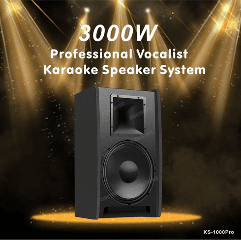セイコーエプソン カラオケ PORTASONG PS-1000 KARAOKE STREETZ K100 Karaoke Speaker with Wireless Microphone