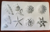 Assorted Flower & Leaves Mold (NM-083) by Sunflower Sugar Art
