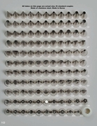 Ateco Piping Tips Chart pg. 1
