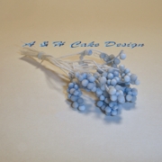 BlueTips & White Stem Bobble Stamens