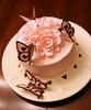 Butterfly Cake by Jennifer Davidson