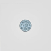 Daisy Center Maker Push Mold (SV-060) by Sunflower Sugar Art 