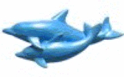 Dolphin Pair 2 by First Impressions Molds  (SC103)