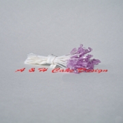Faerie Sparkle Stamens, PurpleTips & White Stems