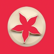 FMM 55mm Rose Calyx Cutter  (CutClx55)
