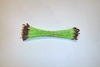 Green w/ Brown Tip Stamens
