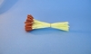 Large Brown Lily Stamen