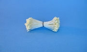Medium Flat Head Pale Yellow Stamen