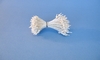Medium Pointed White Stamen