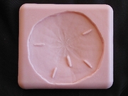 Medium Sand Dollar (NM-152) by Sunflower Sugar Art