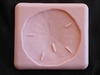 Medium Sand Dollar (NM-152) by Sunflower Sugar Art