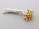 Medium Seedhead Stamens, Cream Tips & White Stems