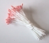 Medium Seedhead Stamens, PeachTips & White Stems