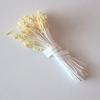 Medium Seedhead Stamens, Yellow  Tips & White Stems