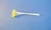 Medium Yellow Lily Stamen