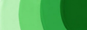 Mint Green Standard Paste Color by Cake Craft