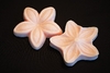 Palm Flower Set (SV-040) by Sunflower Sugar Art