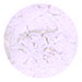 Pearl Dust