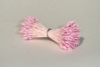 Pink Medium Pointed Stamen