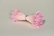 Pink Medium Pointed Stamen