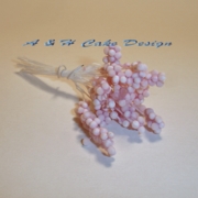 PinkTips & White Stem Bobble Stamens