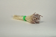 Plain Spider Silk Stamens, Brown Tips & Cream Stems