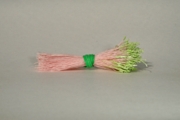 Plain Spider Silk Stamens, Green Tips & Pink Stems