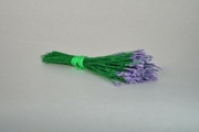 Plain Spider Silk Stamens, Purple Tips & Medium Green Stems