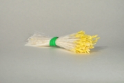 Plain Spider Silk Stamens, Yellow Tips & White Stems