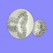PME Three Leaf Holly Set / 2  (HS636)