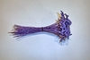 Purple Hammerhead Gladiola Stamens