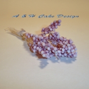 PurpleTips & White Stem Bobble Stamens